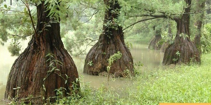 Tháo Ráp Tủ Quận 4 Uy Tín- chuyên Nghiệp- Nhanh Gọn- Giá Rẻ