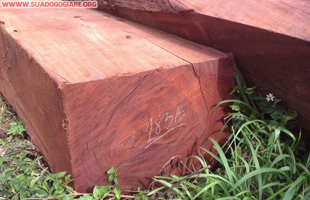 Tháo Ráp Tủ quận 6 Uy Tín- Chuyên Nghiệp- Nhanh Gọn- Giá Rẻ